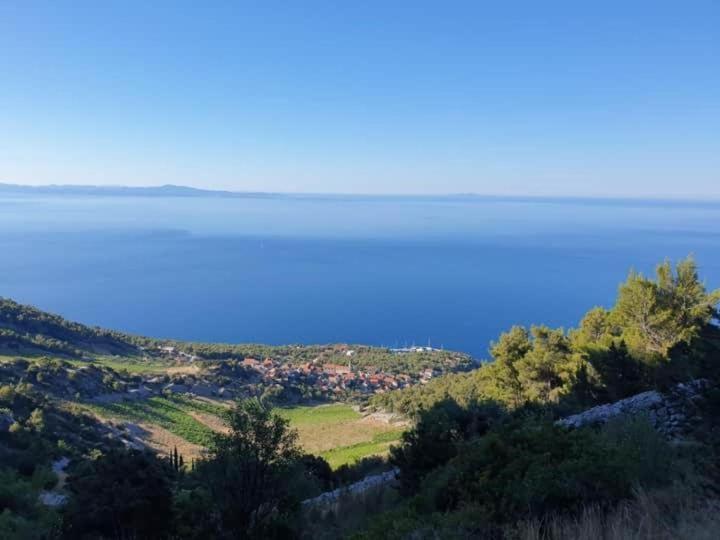 Appartamento Lucija Jelsa (Hvar)